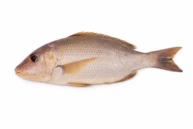 Fresh Kawango